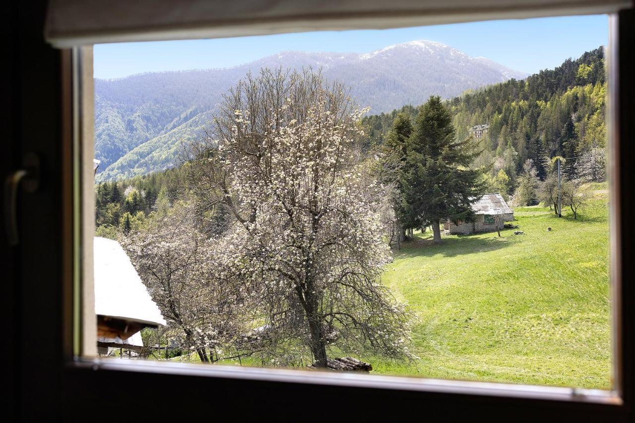 Il Teccio Di Sandro Mendatica Bagian luar foto